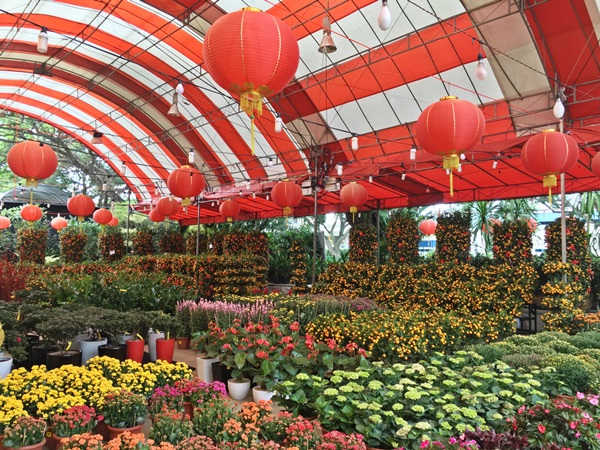 Chin_Ling_Nursery_CNY_Sale